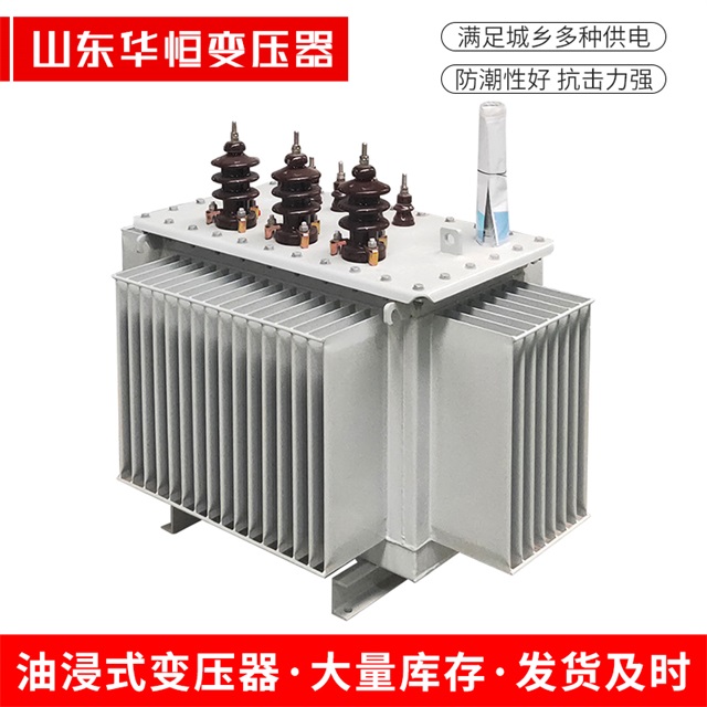 S13-10000/35广宁广宁广宁油浸式变压器厂家